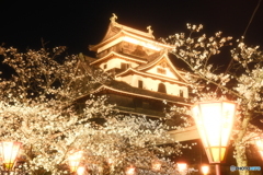 松江城の夜桜７