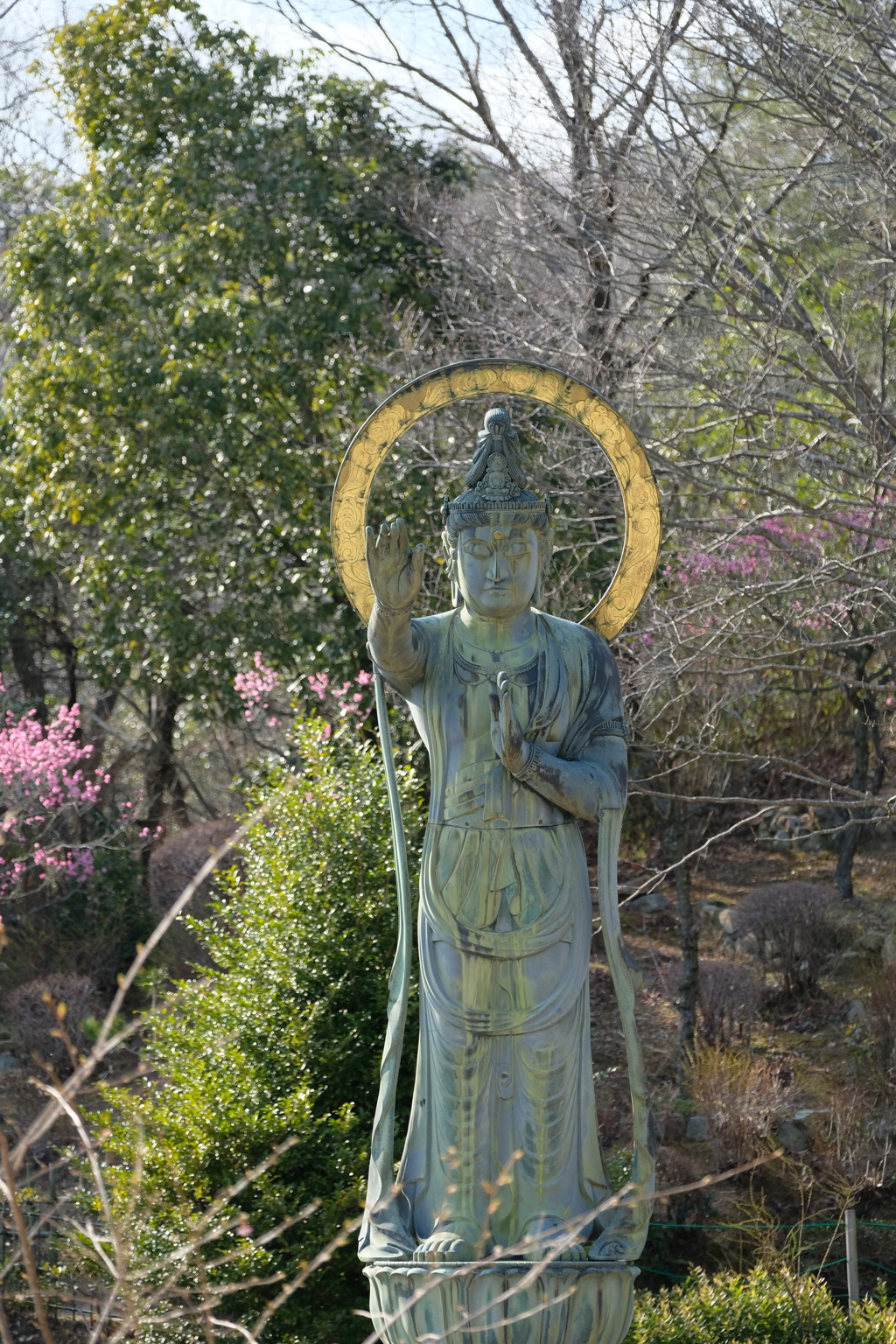 中山寺梅林公園にて2