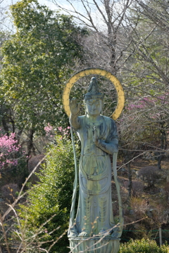 中山寺梅林公園にて2