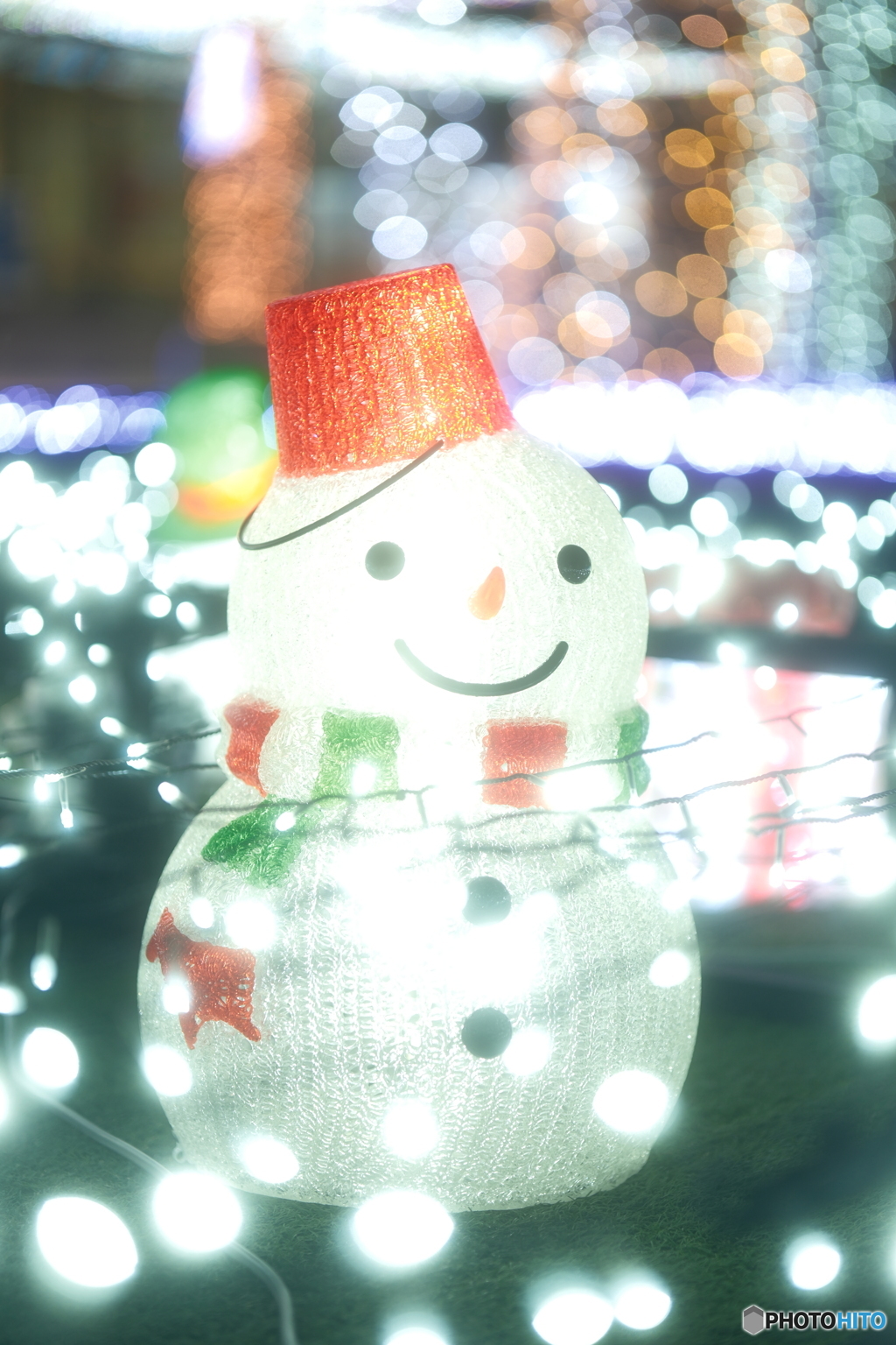 道の駅都城NIQLLのイルミネーションを見にくる１