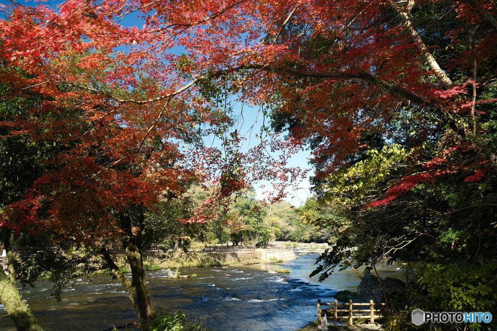 秘境で穴場な紅葉の旅４