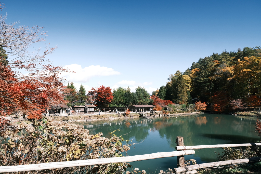 飛騨の里の紅葉巡り１７