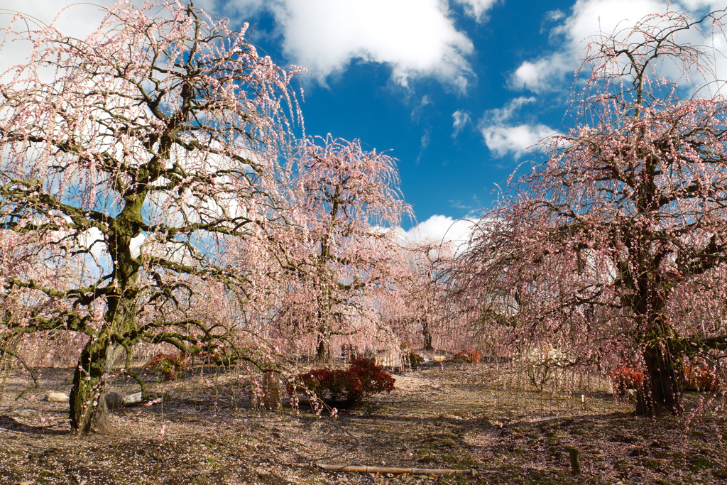 今年の3月は少し寒かった時４