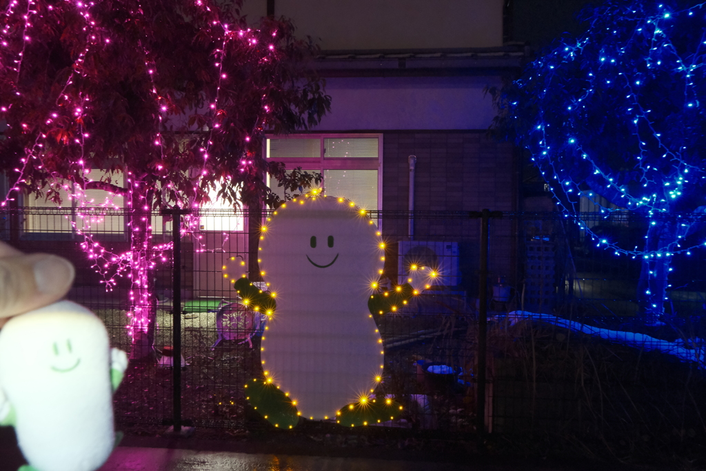 綾部夢ライト、何気に初めての夜の綾部市１
