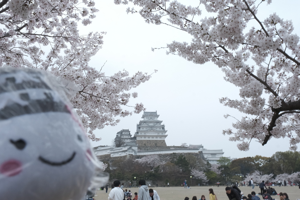 しろまるひめとのコラボ（昼Ver）
