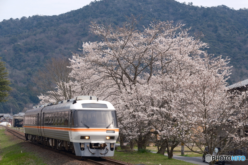 2024年たまたま聞いた本命がこちらの車両