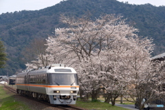 2024年たまたま聞いた本命がこちらの車両