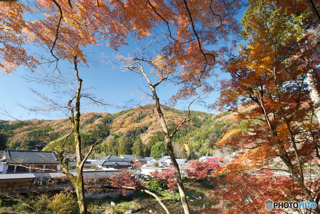 香嵐渓の紅葉７