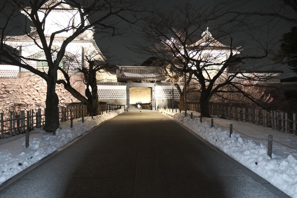 見納めどきの雪景色のライトアップ６