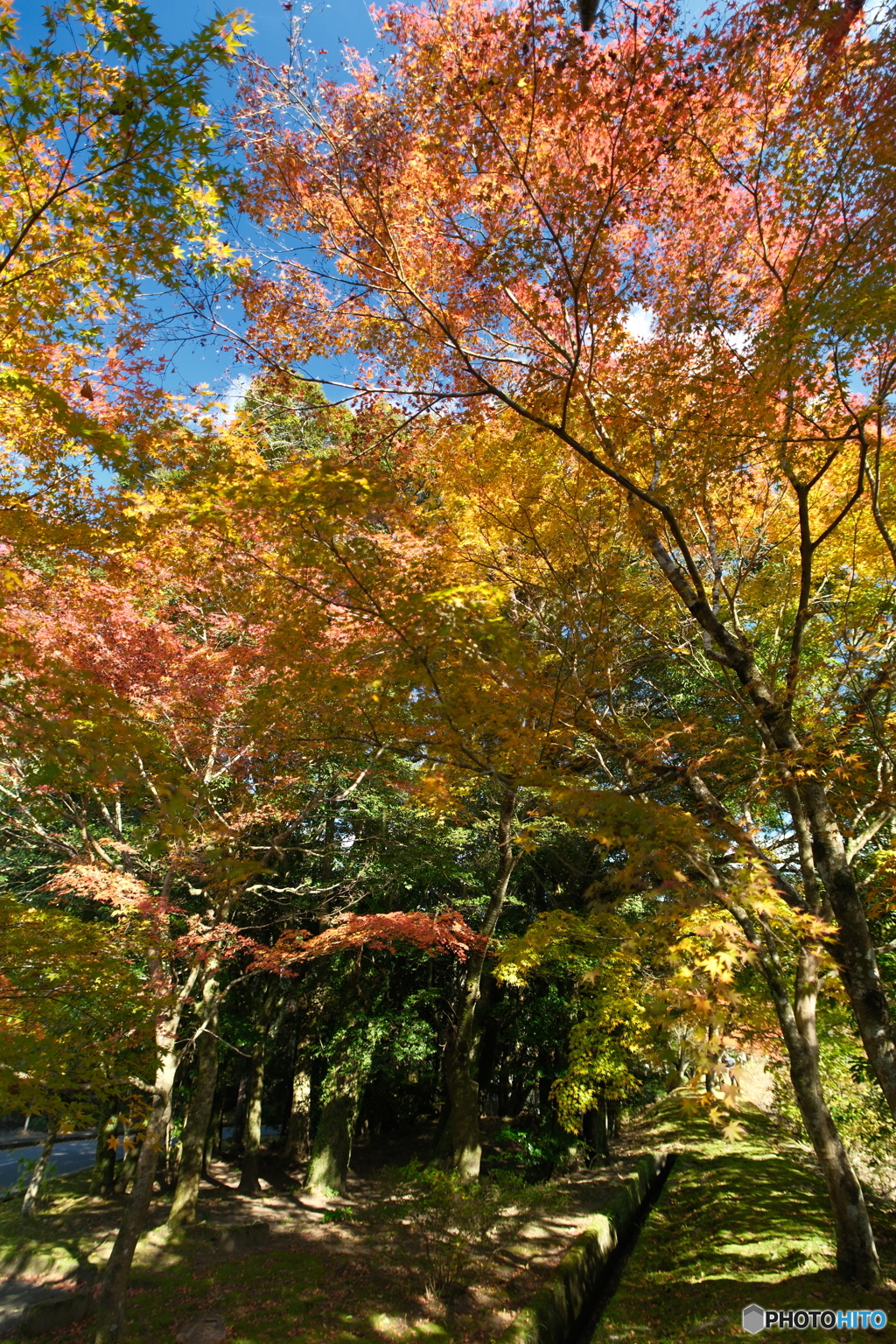 秘境で穴場な紅葉の旅１４