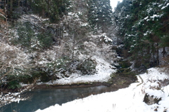 雪景色求めても雪がなかった時１１