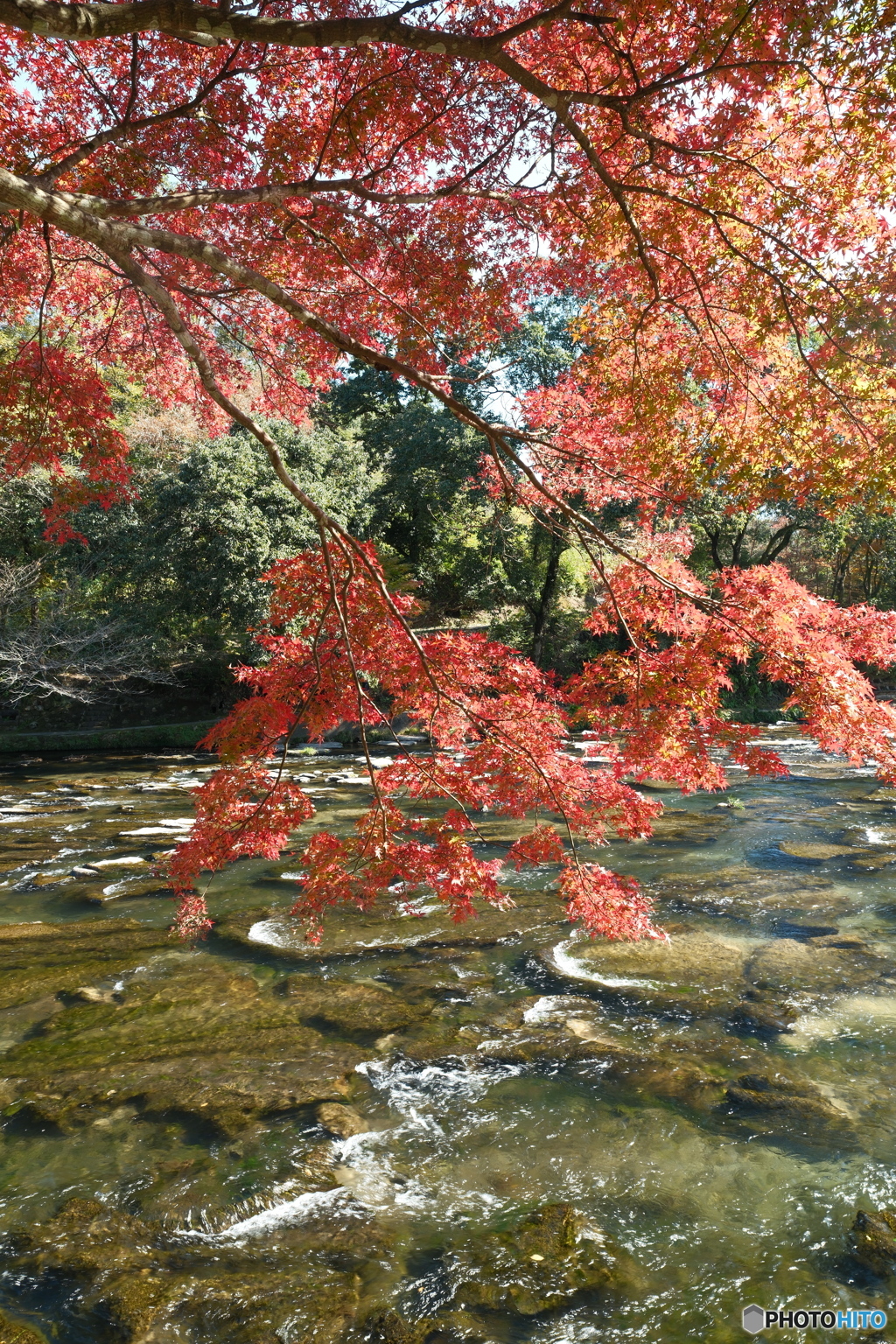 秘境で穴場な紅葉の旅６