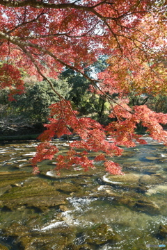 秘境で穴場な紅葉の旅６