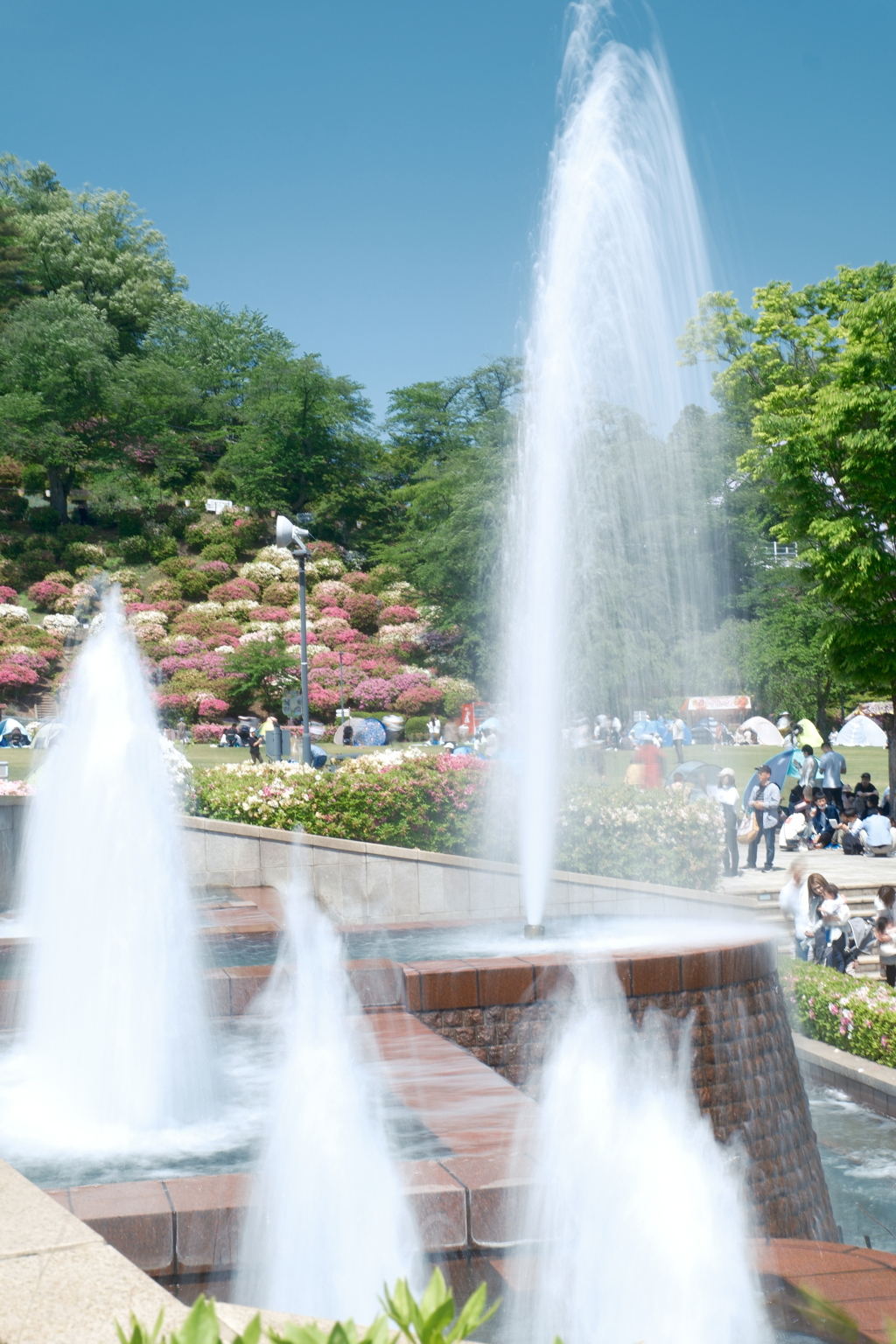 鯖江市西山公園での散策７