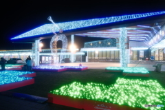 道の駅都城NIQLLのイルミネーションを見にくる４