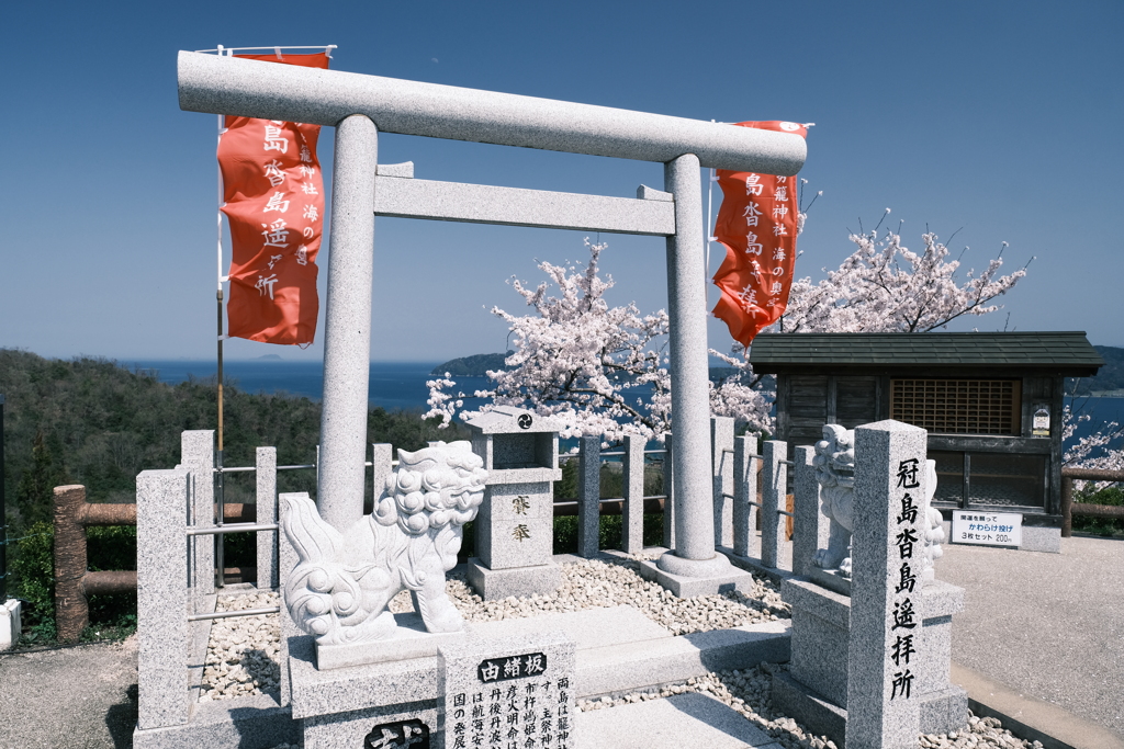 今年の桜の見納めどき、過密ながらも色々巡って終われた時１