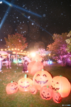 最終的に本鬼の大雨のイル未来と１