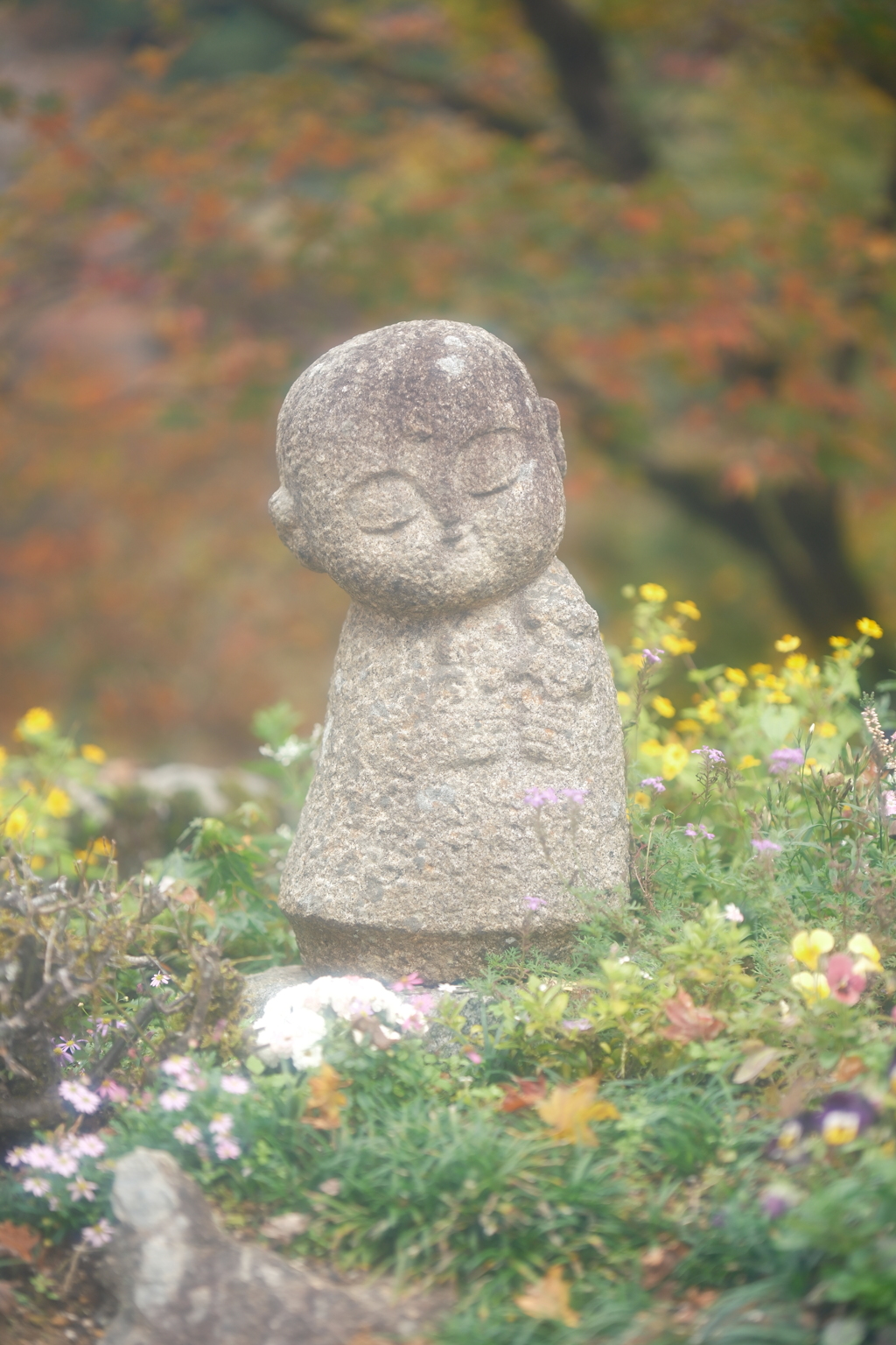 早いようで見頃の紅葉は既に飛ばされたような跡４