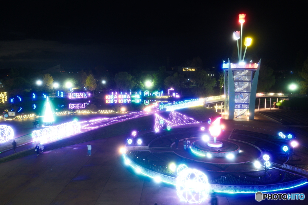 チューリップ公園KIRAKIRAミッション2024-4