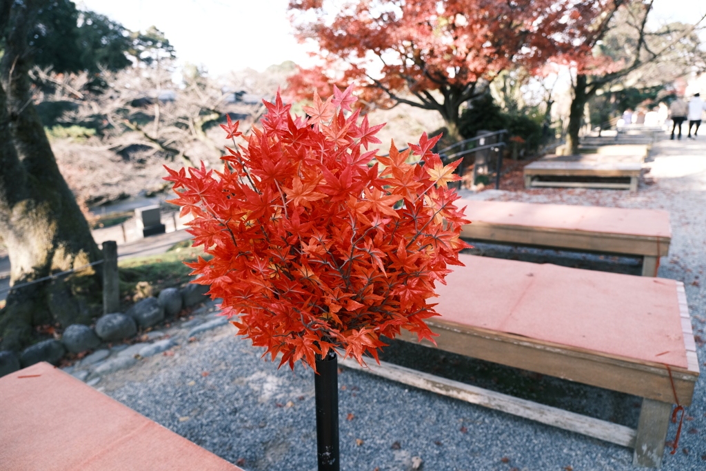金沢城と兼六園の合間にて１