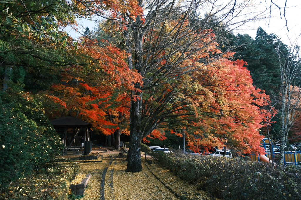 飛騨の里を巡った後、駆け足で巡る飛騨高山の紅葉５