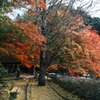飛騨の里を巡った後、駆け足で巡る飛騨高山の紅葉５