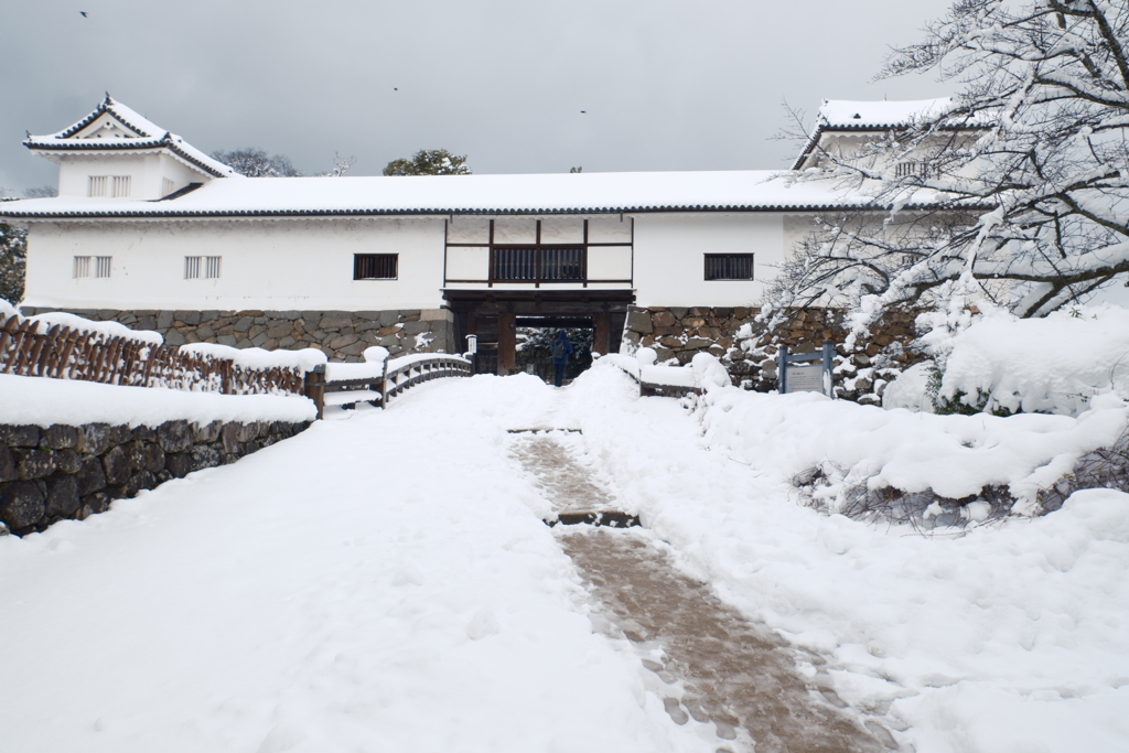 ある大雪の散策５