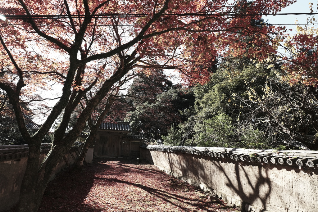 仕事は休業中、紅葉は播州、書写山圓教寺にて３