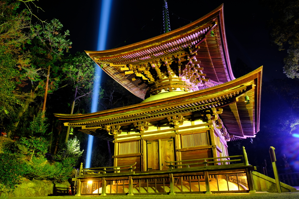 冷え込む夜と照らされる石山寺２