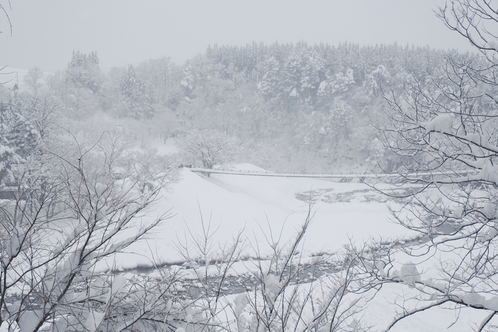 1月末大雪で水漏れの被害に、たまたまの年休で1泊2日の旅へ３７