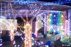 都城まちなかイルミネーション2025-14