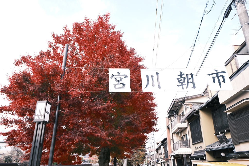 飛騨高山の紅葉巡り８