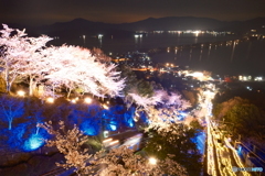 2024傘彩桜４