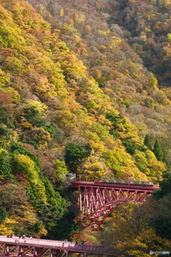 宇奈月温泉街の紅葉2024-2