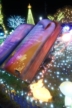 都城まちなかイルミネーション2025-6