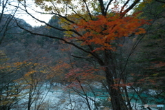 トロッコ列車に乗って2024-2