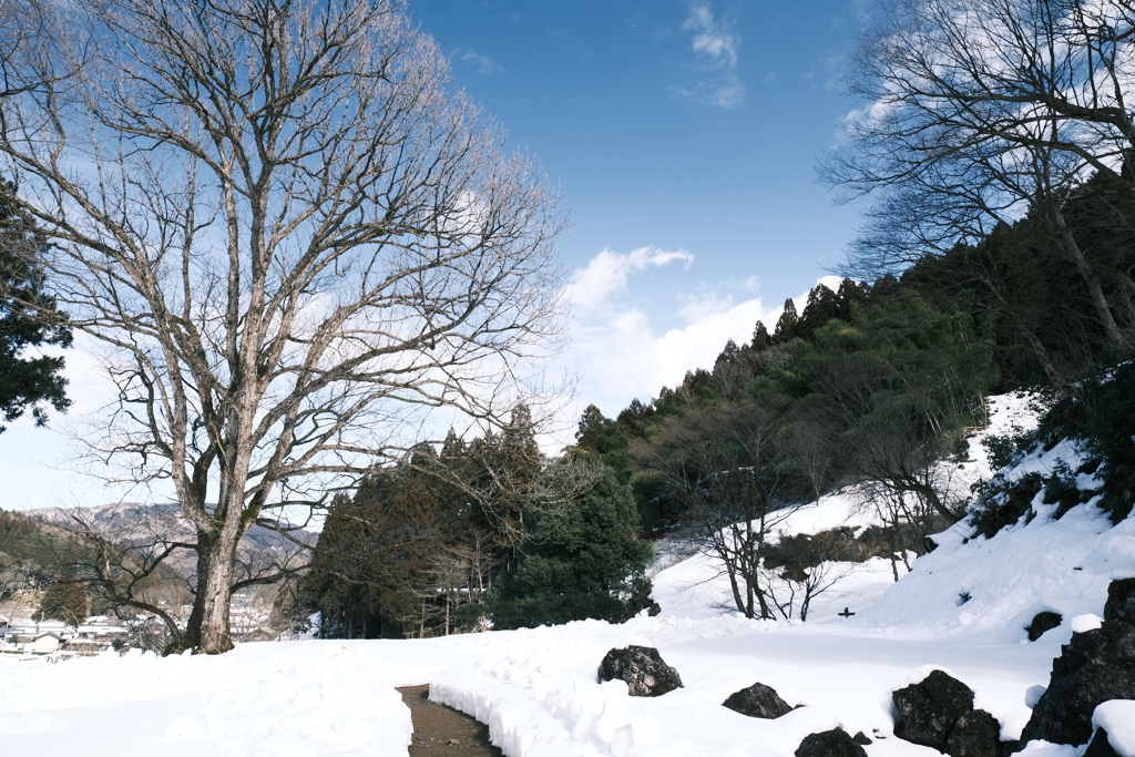 晴れた日の雪景色１０