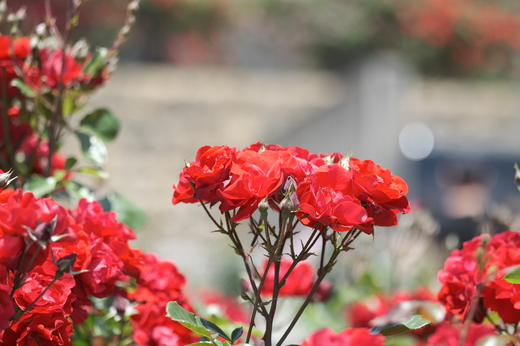 緊急事態宣言解除後も安全行動を心掛けて２