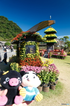 紅葉がメインにならなかった時１