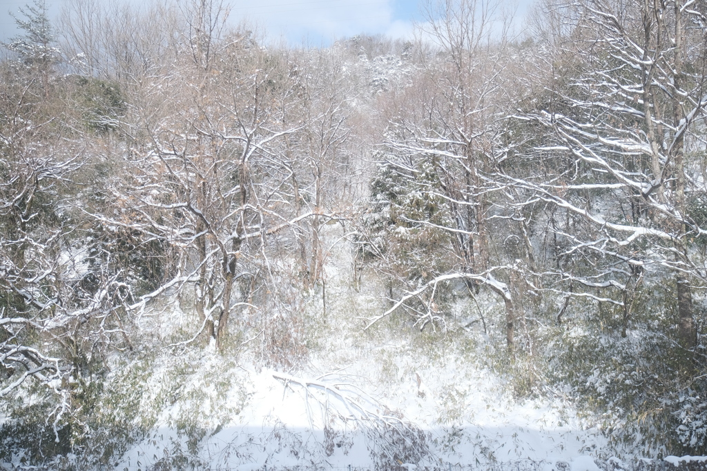 湖西線にて、電車の車窓からの雪景色９