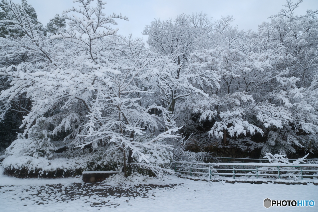 年末最終夜勤明けの近場４