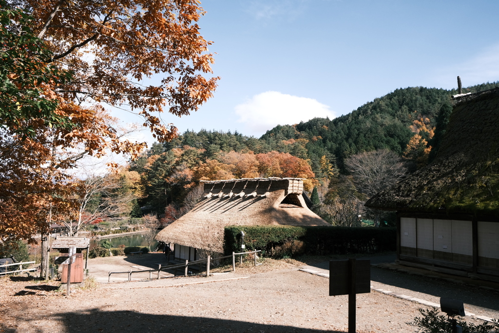 朝晩最早冬の寒さとなった紅葉の旅８