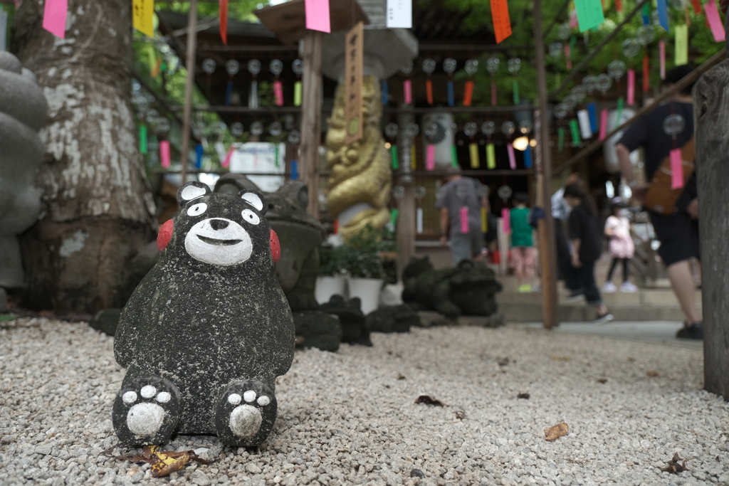 帰省中に出かけたかえる寺３