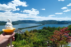 灼熱の傘松公園１