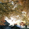 飛騨の里の紅葉巡り２１