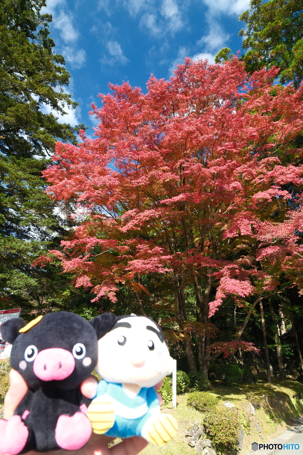 思えば九州で紅葉を撮りに行くのは初めての旅だった６