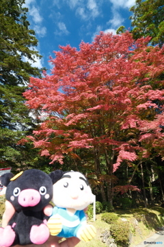 思えば九州で紅葉を撮りに行くのは初めての旅だった６