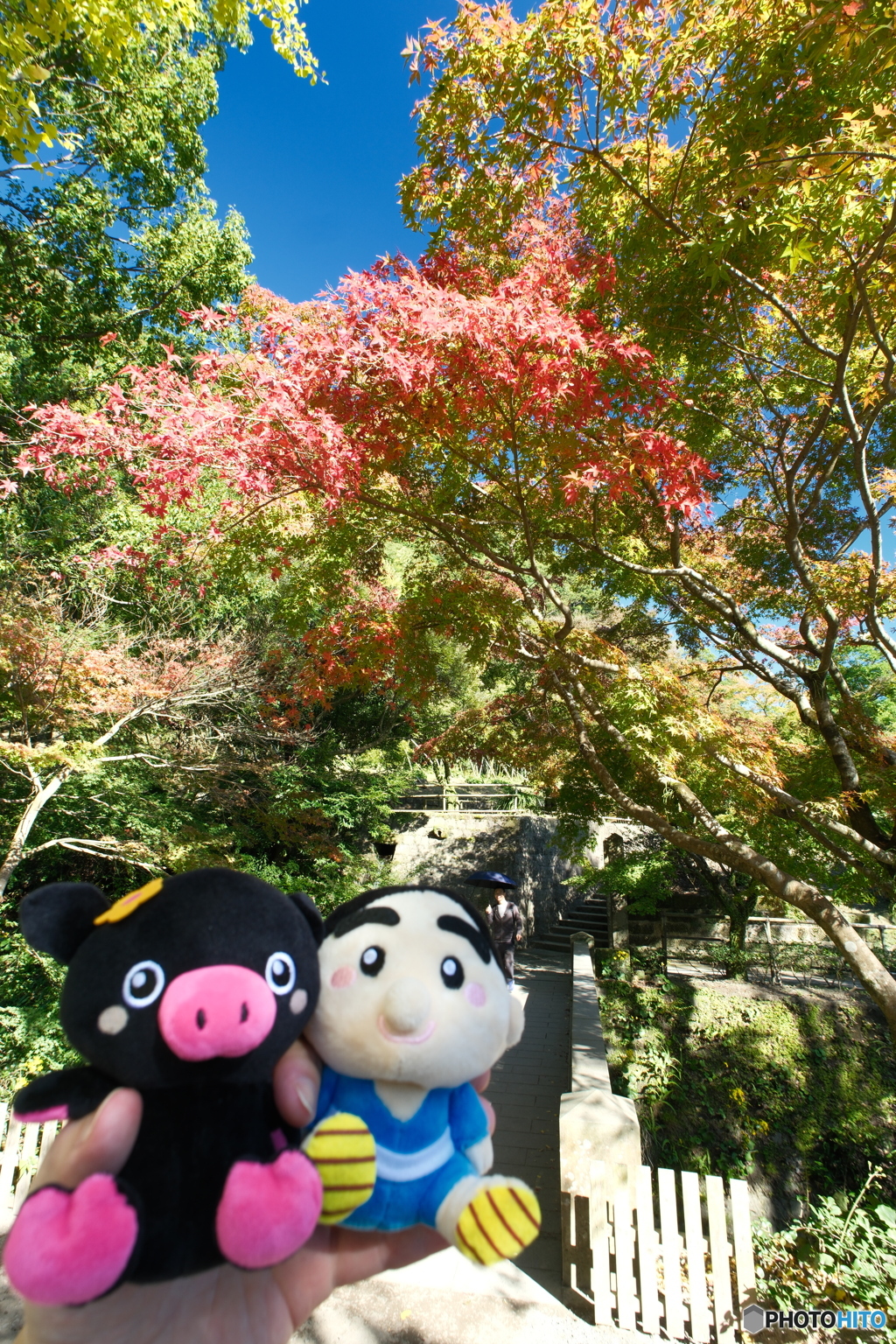 紅葉がメインにならなかった時９