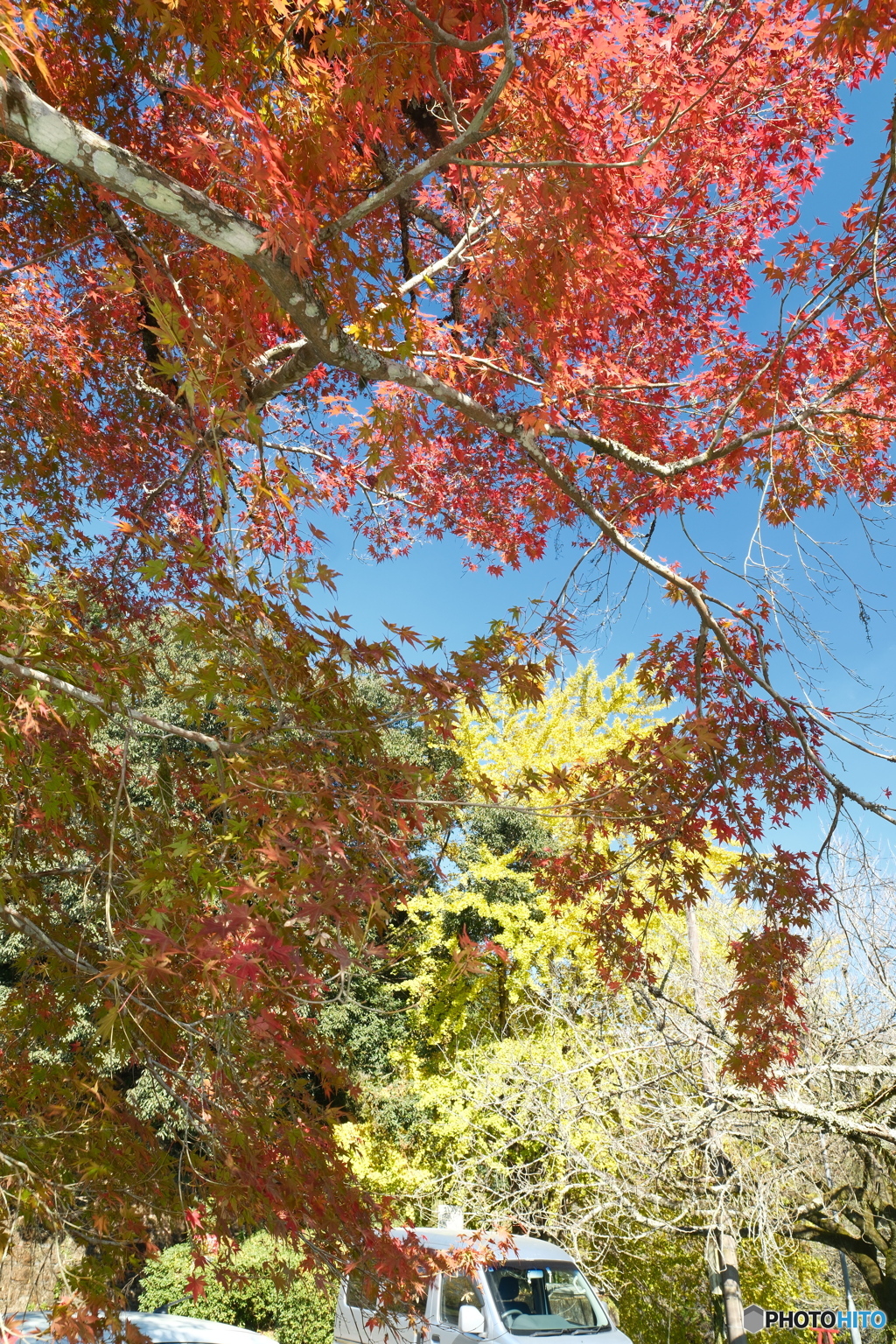 秘境で穴場な紅葉の旅１０