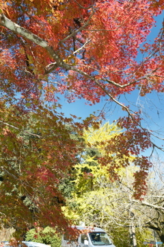 秘境で穴場な紅葉の旅１０